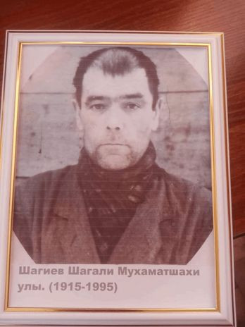 Шагиев Шагалий Мухаматшахи