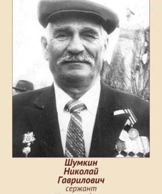 шумкин николай гаврилович