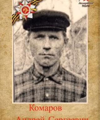 Комаров Андрей Сергеевич
