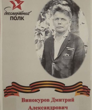 Винокуров Дмитрий Александрович
