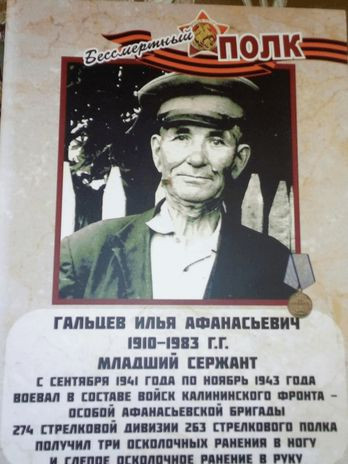 Гальцев Илья Афанасьевич