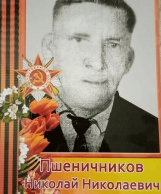 Пшеничников Николай Николаевич