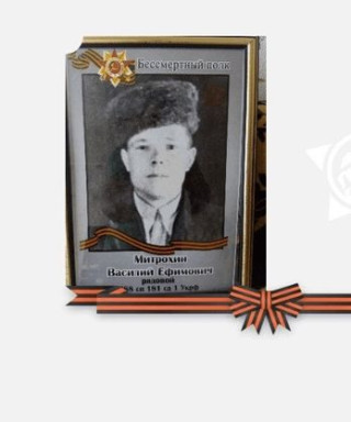Митрохин Василий Ефимович