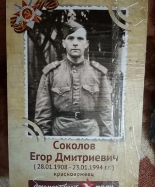 Соколов Егор Дмитриевич