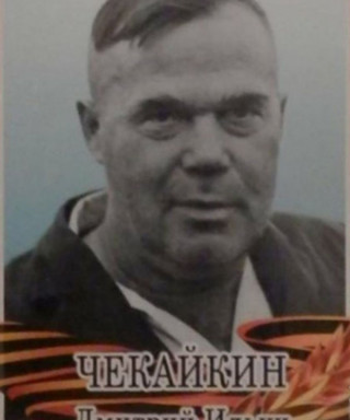 Чекайкин Дмитрий Ильич