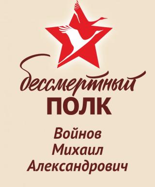 Войнов Михаил Александрович
