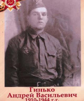 Гинько Андрей Васильевич