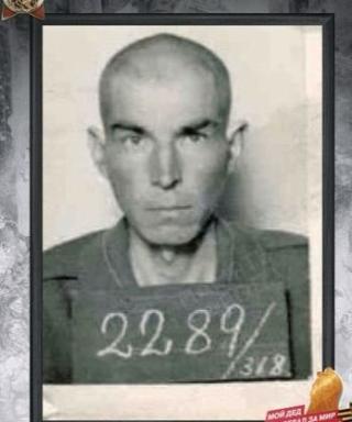 Крашнёв Михаил Фёдорович
