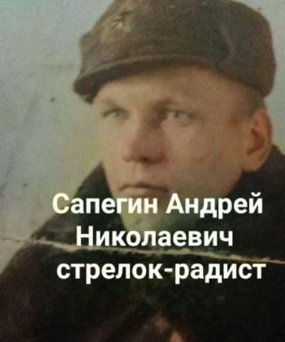 Сапегин Андрей Николаевич
