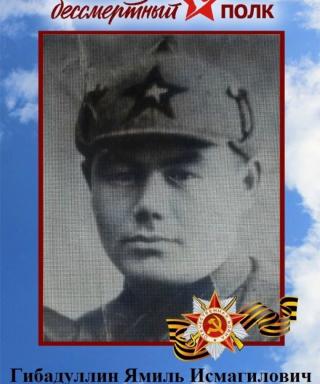 Гибадуллин Ямиль Исмагилович