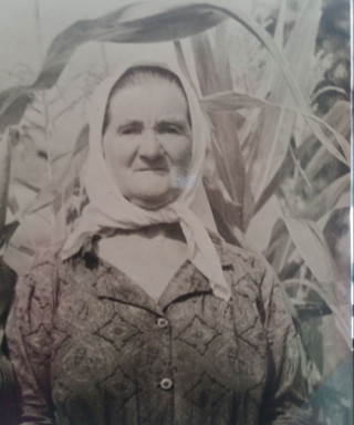 Миненко Анна Устиновка