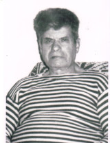 Мелешников Владимир Семёнович