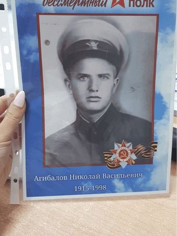 агибалов николай васильевич