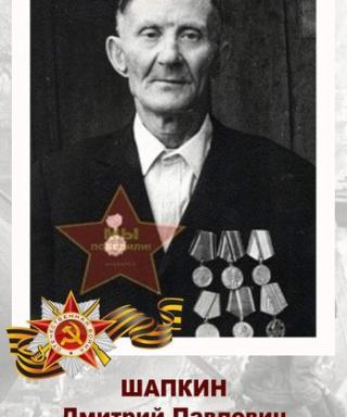 Шапкин Дмитрий Павлович
