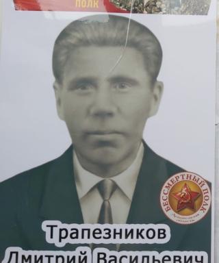 Трапезников Дмитрий Васильевич