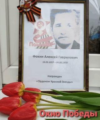 Фокин Алексей Гаврилович