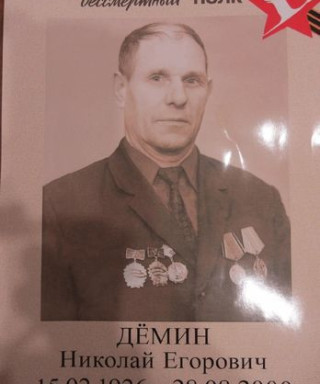 Дёмин Николай Егорович