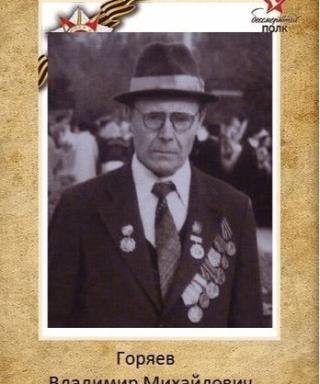 Горяев Владимир Михайлович