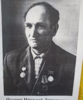 Петрин Николай Дмитриевич