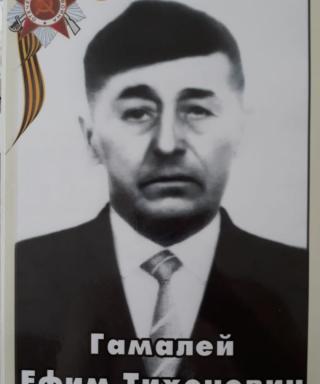 Гамалей Ефим Тихонович