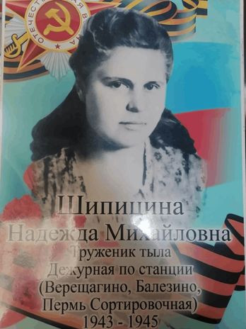 Шипицина Надежда Михайловна