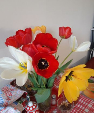 Колодич Михаил Петрович