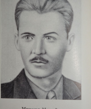 Михайлеску Михаил Васильевич