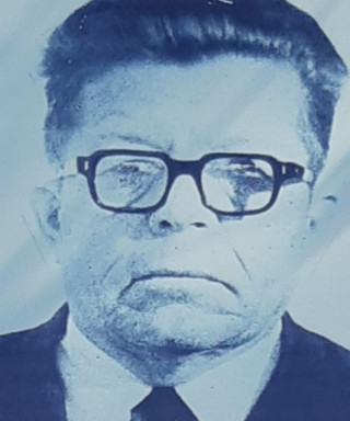 Домнин Иван Васильевич