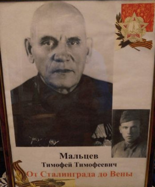 Мальцев Тимофей Типофеевич