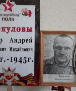 Толмачёв Иван Владимирович
