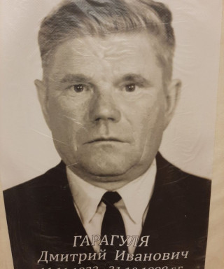 Гарагуля Дмитрий Иванович