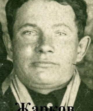 Жарков Александр Иванович