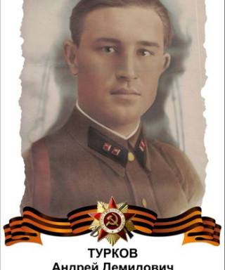 Турков Андрей Диомидович