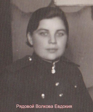 Кашинцева (Волкова) Евдокия Семеновна