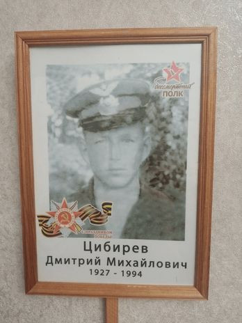 Цибирев Дмитрий Михайлович