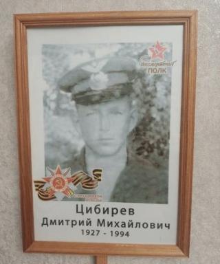 Цибирев Дмитрий Михайлович