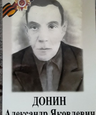 Донин Александр Яковлевич
