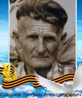 Соколов Трофим Александрович