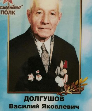 Долгушов Василий Яковлевич