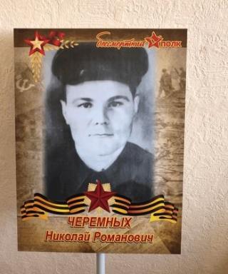 Черемных Николай Романович