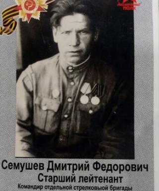 Семушев Дмитрий Фёдорович