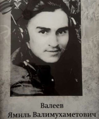 ВАЛЕЕВ ЯМИЛЬ ВАЛИМУХАМЕТОВИЧ