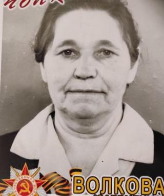 Волкова Екатерина Андреевна