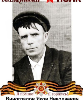 Виноградов Яков Николаевич