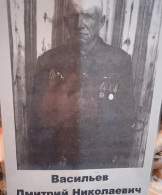 Васильев Дмитрий Николаевич