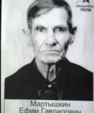Мартышкин Ефим Гаврилович