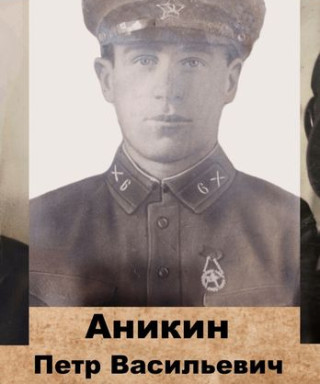 Аникин Петр Васильевич