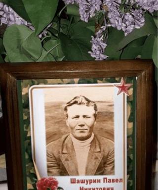 ШАШУРИН ПАВЕЛ НИКИТОВИЧ