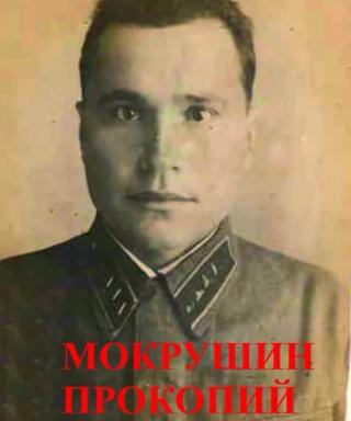Мокрушин Прокопий Елисеевич