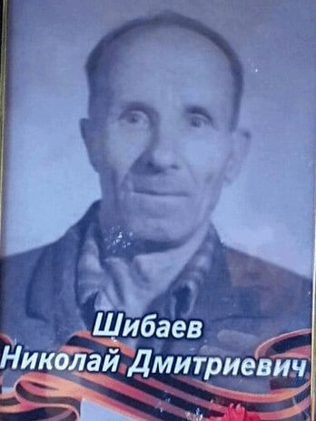 Шибаев Николай Дмитриевич